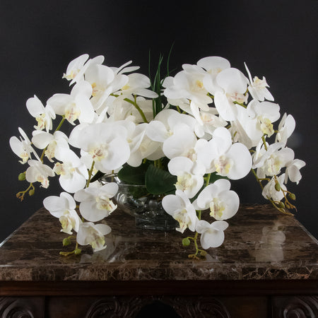 Fantasía Blanca