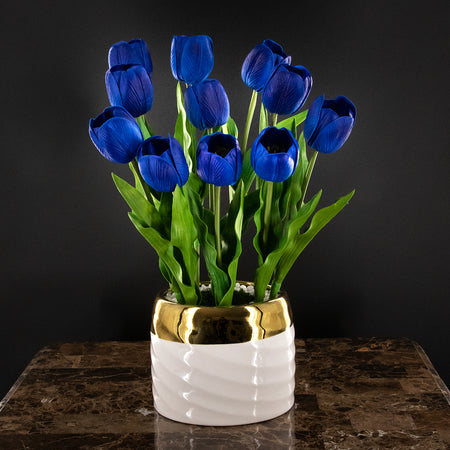 Tulipanes Azules