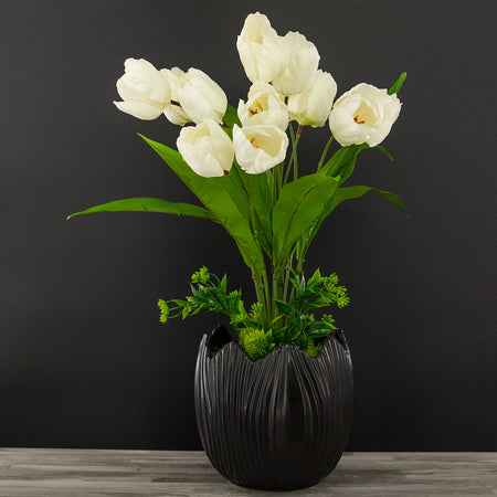 Bellos Tulipanes