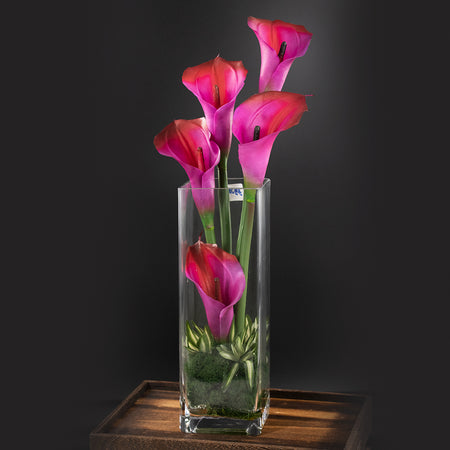 Alegría Fucsia