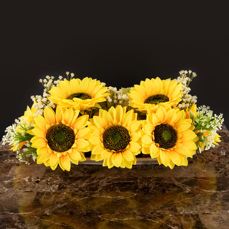 Girasoles de Verano