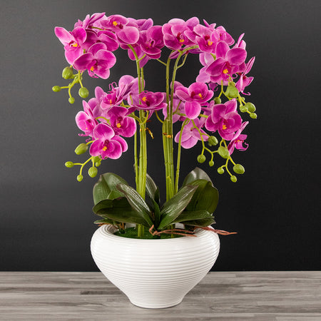 Cascada Fucsia