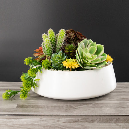 Combinación de Verano