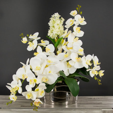 Dulce Primavera