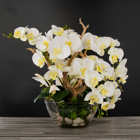 Luces de Primavera